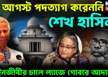 ৫ই আগস্ট পদত্যাগ করেননি শেখ হাসিনা আদালতে এ কী বললেন আইনজীবী?