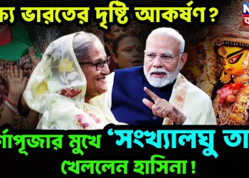 লক্ষ্য ভারতের দৃষ্টি আকর্ষণ? দুর্গাপূজার মুখে ‘সংখ্যালঘু তাস’ খেললেন হাসিনা!