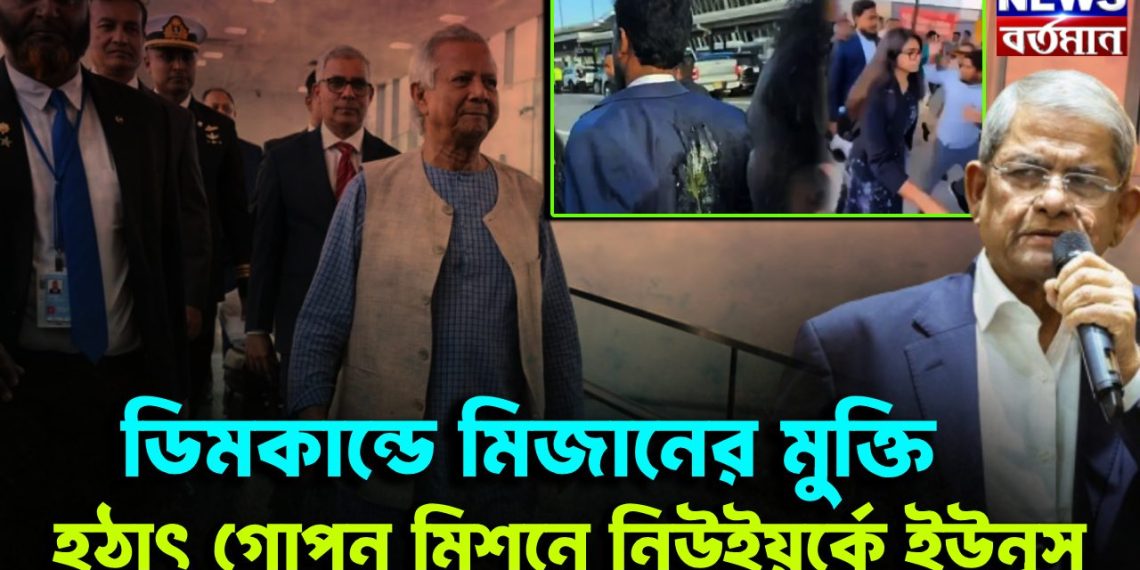 ডিমকাণ্ডে মিজানের মুক্ত। হঠাৎ গোপন মিশনে নিউ ইয়র্কে ইউনূস