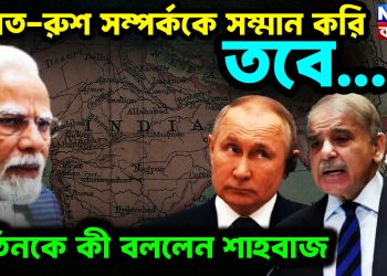ভারত-রুশ সম্পর্ককে সম্মান করি, তবে… পুতিনকে কী বললেন শাহবাজ