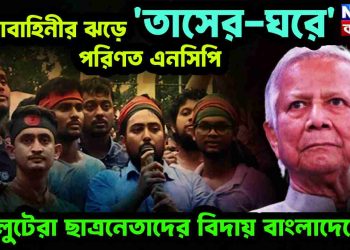 সেনাবাহিনীর ঝড়ে ‘তাসের ঘরে’ পরিণত এনসিপি। লুটেরা ছাত্রনেতাদের বিদায় বাংলাদেশে