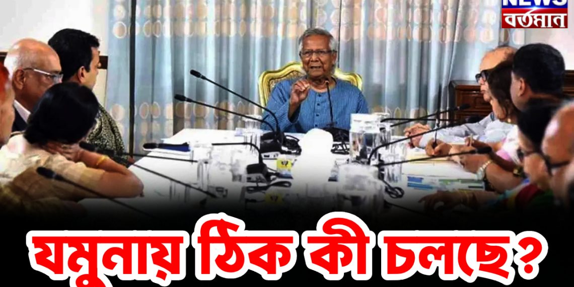 যমুনায় ঠিক কী চলছে?