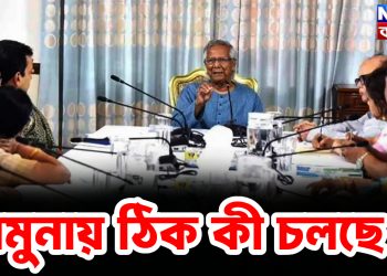 যমুনায় ঠিক কী চলছে?