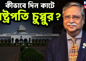 কীভাবে দিন কাটে রাষ্ট্রপতি চুপ্পুর?