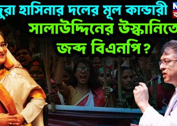 হিন্দুরা হাসিনার দলের মুল কাণ্ডারী। সালাউদ্দিনের উস্কানিতে জব্দ বিএনপি