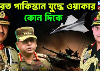 ভারত পাকিস্তান যুদ্ধে ওয়াকার কোন দিকে