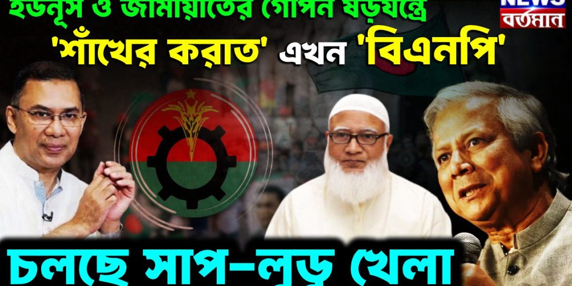 ইউনূস ও জামায়াতের গোপন ষড়যন্ত্রে ‘শাঁখের করাত ’ এখন ‘বিএনপি’ চলছে সাপ-লুডু খেলা