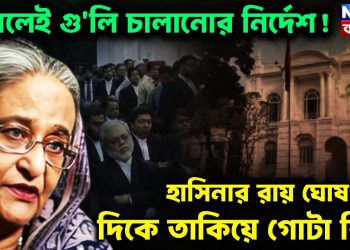 দেখলেই গু*লি চালানোর নির্দেশ! হাসিনার রায় ঘোষণার দিকে তাকিয়ে গোটা বিশ্ব