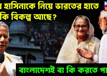 শেখ হাসিনাকে নিয়ে ভারতের হাতে কি কি বিকল্প আছে? বাংলাদেশই বা কি করতে পারে?