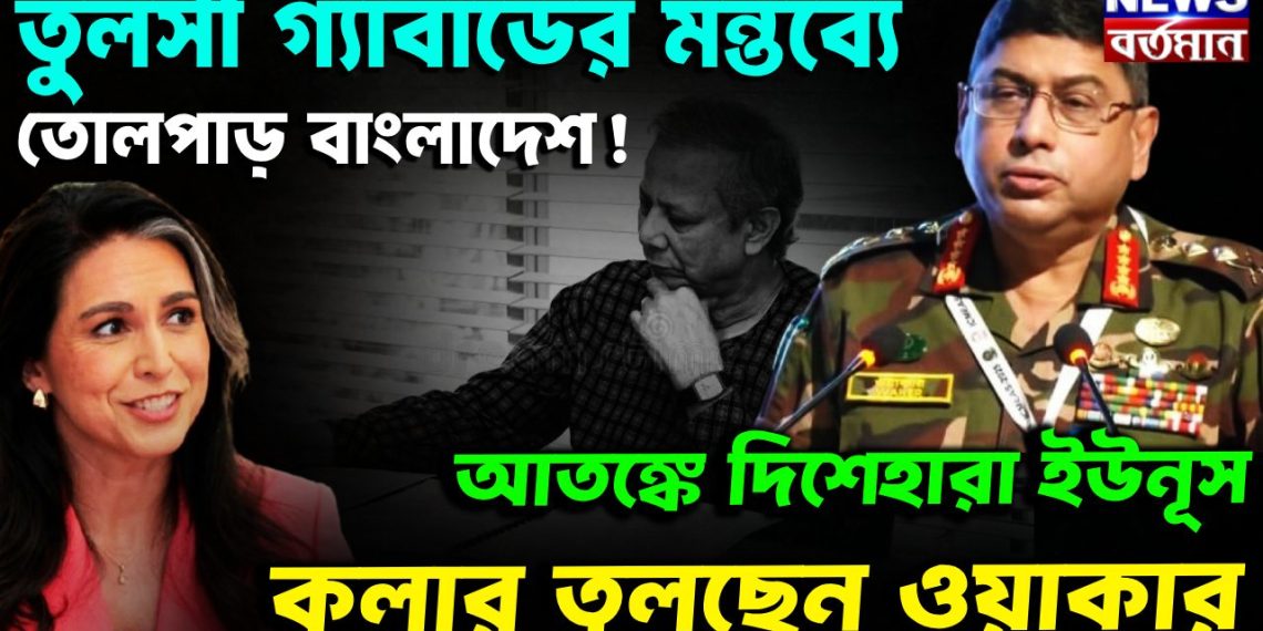 তুলসী গ্যাবার্ডের মন্তব্যে তোলপাড় বাংলাদেশ! আতঙ্কে দিশেহারা ইউনূস, কলার তুলছেন ওয়াকার