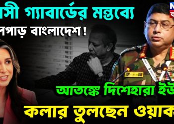তুলসী গ্যাবার্ডের মন্তব্যে তোলপাড় বাংলাদেশ! আতঙ্কে দিশেহারা ইউনূস, কলার তুলছেন ওয়াকার