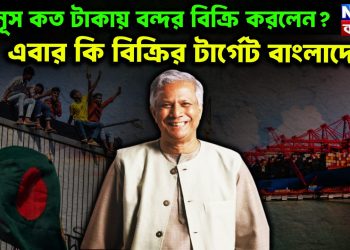 ইউনূস কত টাকায় বন্দর বিক্রি করলেন এবার কি বিক্রির টার্গেট বাংলাদেশ