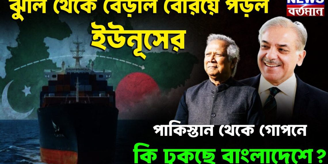 ঝুলি থেকে বেড়াল বেরিয়ে পড়ল ইউনূসের  পাকিস্তান থেকে গোপনে কি ঢুকছে বাংলাদেশে?