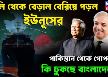 ঝুলি থেকে বেড়াল বেরিয়ে পড়ল ইউনূসের  পাকিস্তান থেকে গোপনে কি ঢুকছে বাংলাদেশে?