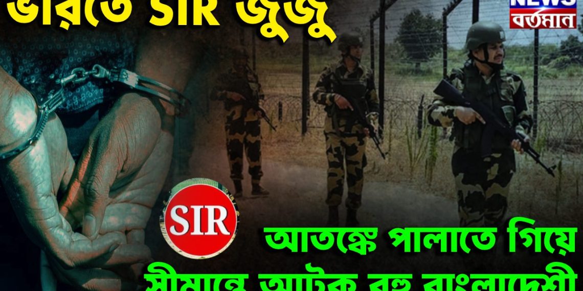 ভারতে SIR জুজু। আতঙ্কে পালাতে গিয়ে সীমান্তে আটক বহু বাংলাদেশী