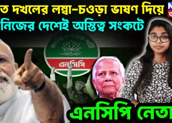 ভারত দখলের লম্বা-চওড়া ভাষণ দিয়ে নিজের দেশেই অস্তিত্ব সংকটে এনসিপি নেতারা