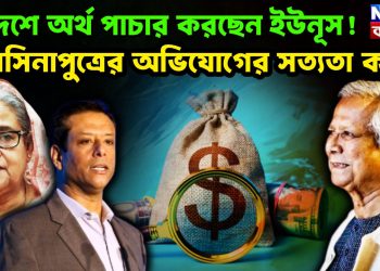 বিদেশে অর্থ পাচার করছেন ইউনুস! হাসিনাপুত্রের অভিযোগের সত্যতা কত?