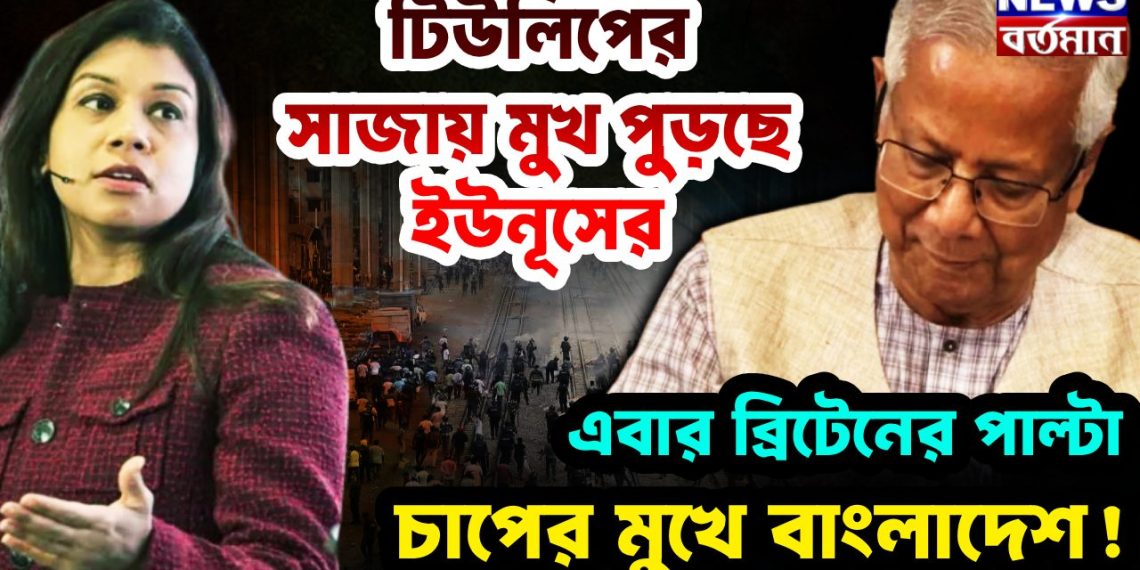 টিউলিপের সাজায় মুখ পুড়ছে ইউনূসের এবার ব্রিটেনের পাল্টা চাপের মুখে বাংলাদেশ!
