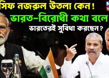 আসিফ নজরুল উতলা কেন! ভারত-বিরোধী কথা বলে কী ভারতেরই সুবিধা করছেন?