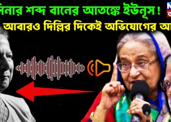 হাসিনার শব্দ বাণের আতঙ্কে ইউনূস! আবারও দিল্লির দিকেই অভিযোগের আঙুল