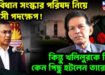 সংবিধান সংস্কার পরিষদ নিয়ে সাহসী পদক্ষেপ! কিন্তু খলিলুরকে নিয়ে কেন পিছু হটলেন তারেক?