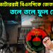 আ.লীগ ভোটাররাই বিএনপিকে জেতাবে! তলে তলে ফুল সেটিং?