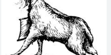 বাংলাদেশের রাজনীতিতে চর্চায় ‘ছাগল’। পিছু ছাড়লো না তারেক রহমানের।